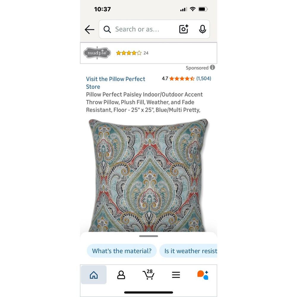 Pillow Perfect Paisley Indoor/Outdoor Accent Throw Pillow, Plush Fill, Weather,